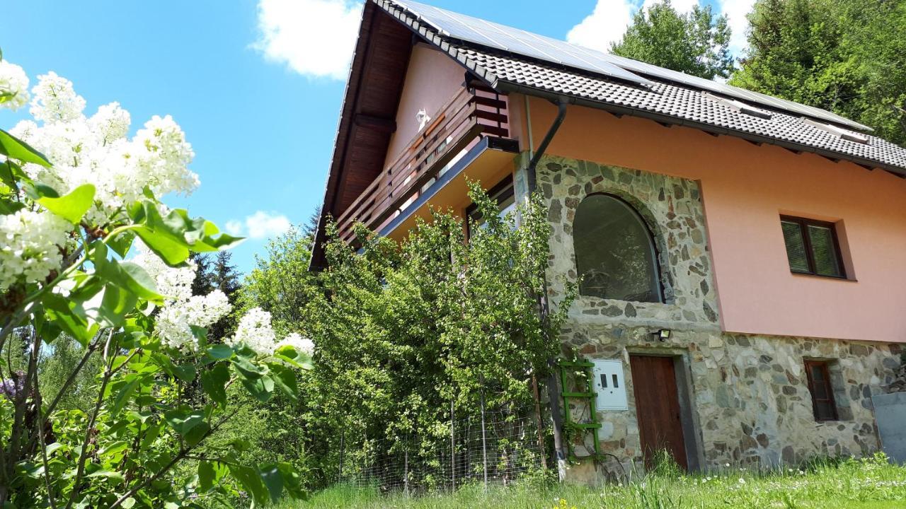 Country House & Spa Mislinja Εξωτερικό φωτογραφία