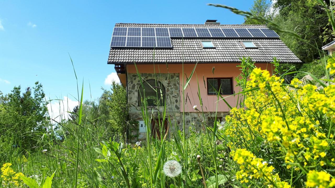 Country House & Spa Mislinja Εξωτερικό φωτογραφία