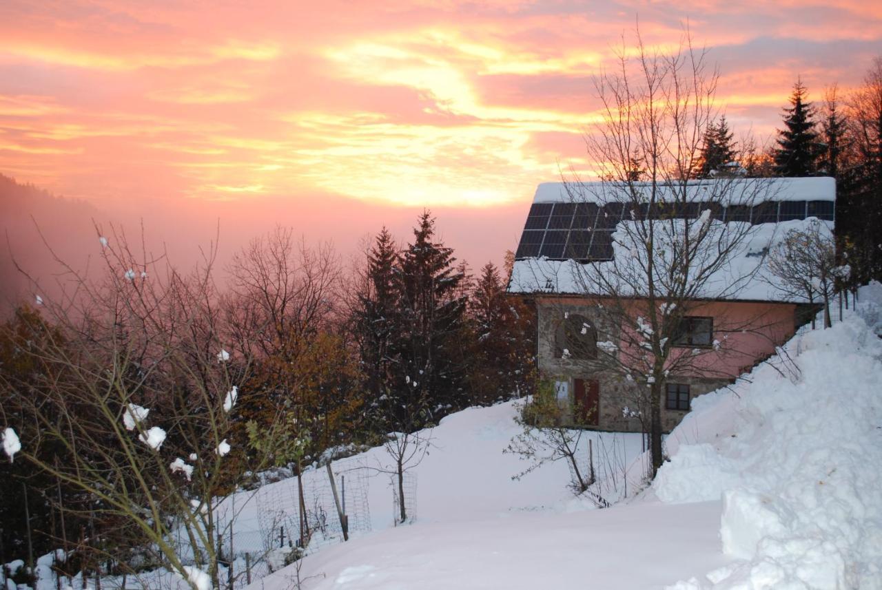 Country House & Spa Mislinja Εξωτερικό φωτογραφία