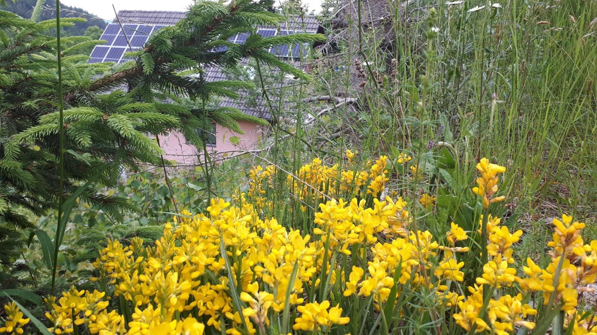 Country House & Spa Mislinja Εξωτερικό φωτογραφία